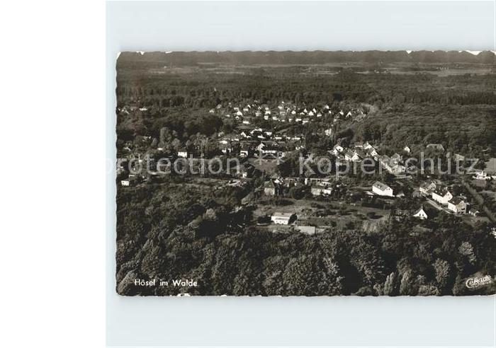 Hoesel Fliegeraufnahme im Walde