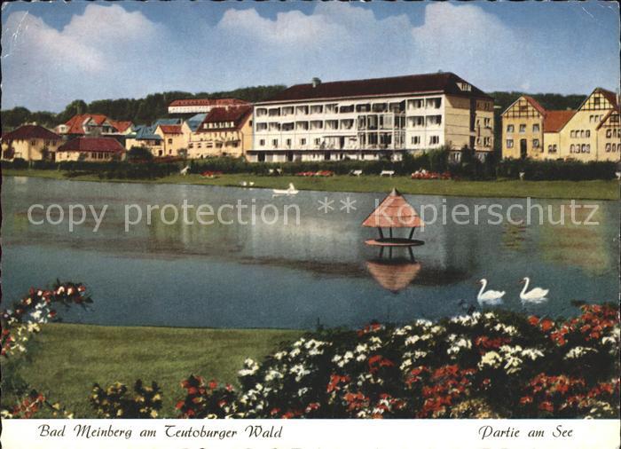Bad Meinberg Moor Kohlensaeure Heilbad See