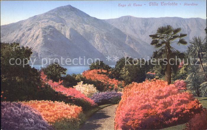 Lago di Como Villa Carlotta Giardino