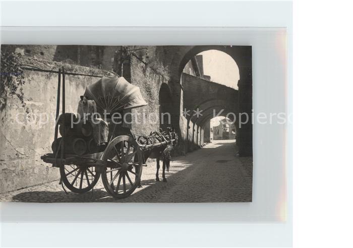 Roma Rom Eselskarren mit Weinfaessern