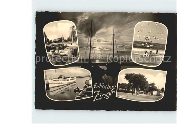 Zingst Ostseebad Moewen Boote Faehre