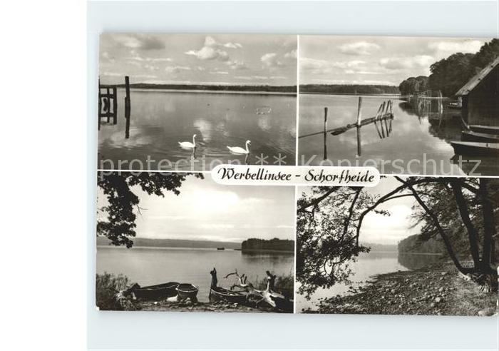 Schorfheide Werbellinsee Schwaene Boote
