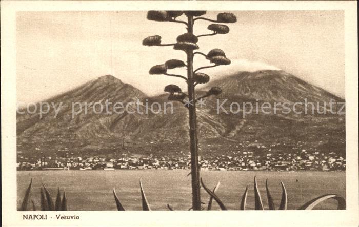 Napoli Neapel Vesuvio
