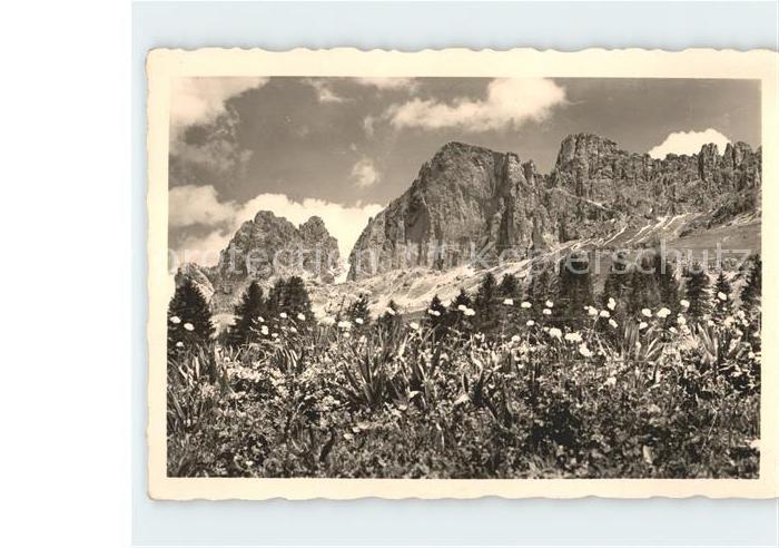 Passo di Costalunga Sul Passo di Carezza Gruppo del Catinaccio Dolomiti