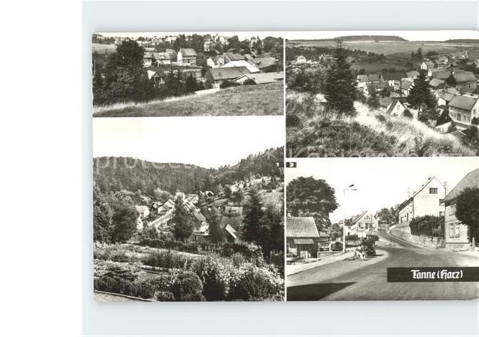 Tanne Harz Bodetalstrasse