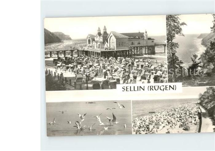 Sellin Ruegen Seebruecke Badestrand Moewe