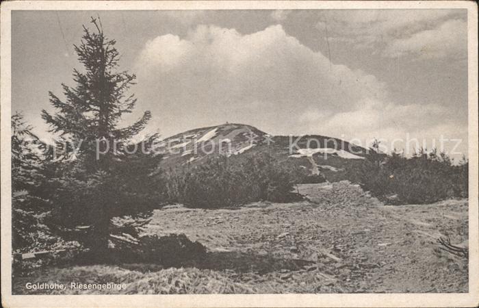 Goldhoehe Riesengebirge