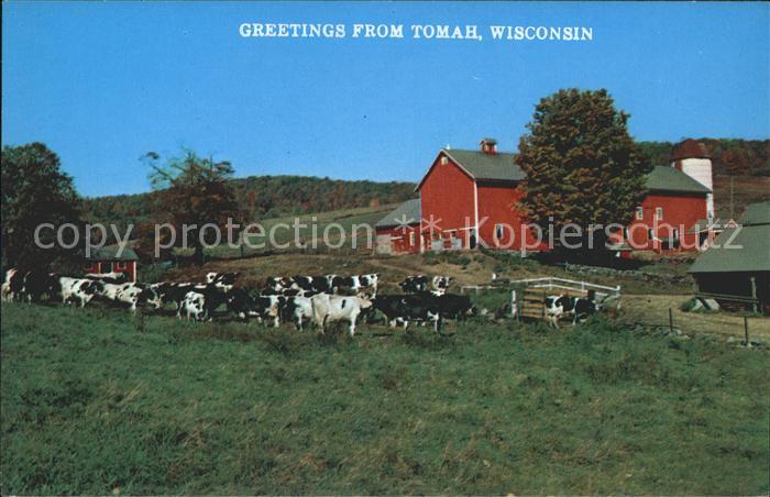 Tomah Kuehe Berghaus