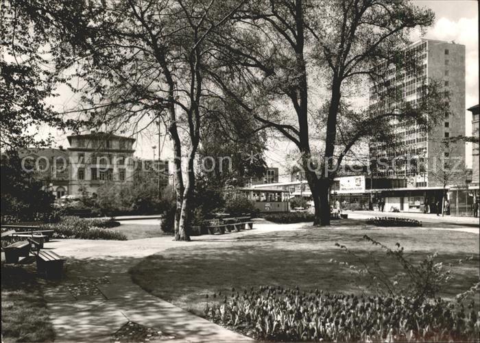 Heidelberg Neckar Seegarten
