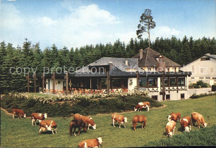 Bad Duerrheim Waldcafe Kuehe