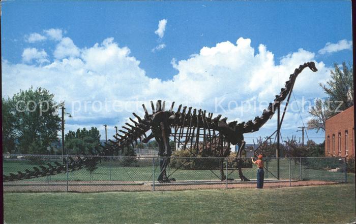 Dinosaurier Cement replica Diplodocus Utah Field House