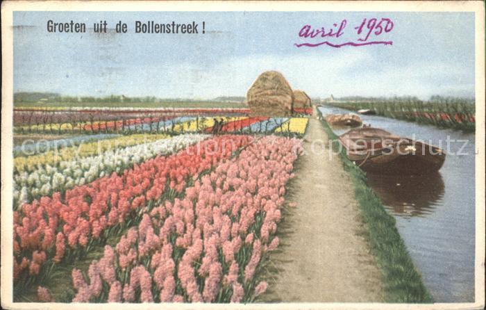 Blumen Bollenstreek Holland