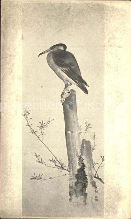 Voegel Cormorant Hoyen Japanese Painting Kormo