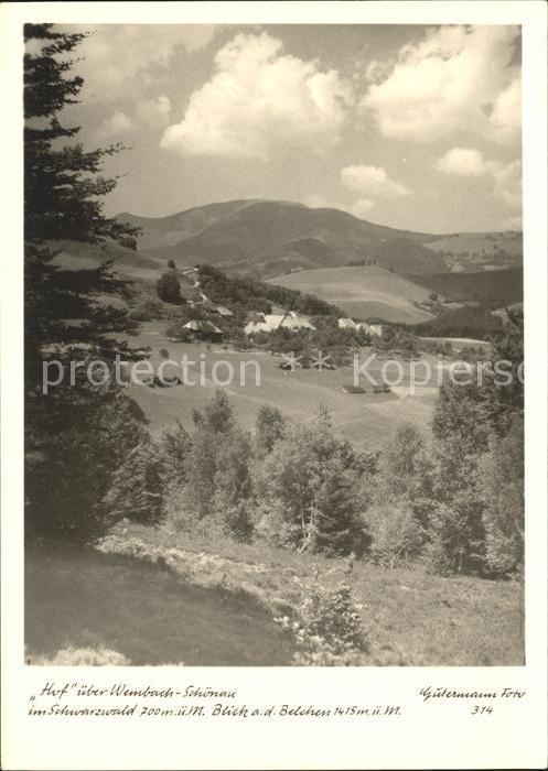 Foto Gutermann Nr. 314 Hof Wembach-Schoenau Schwarzwald Belchen