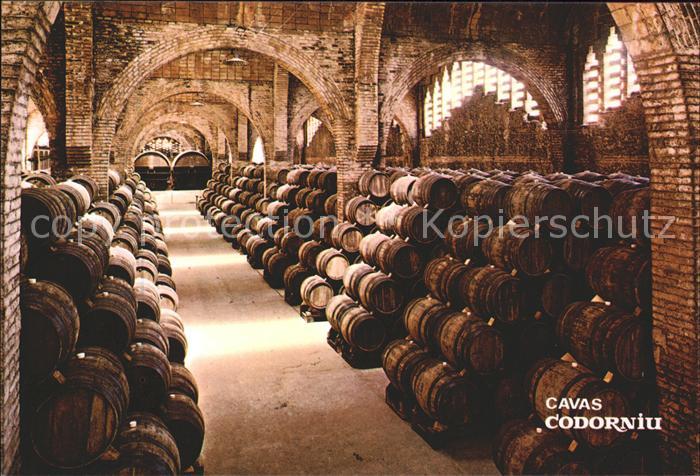 Wein Weinkeller Cavas Codorniu National-Denkmal Spanien