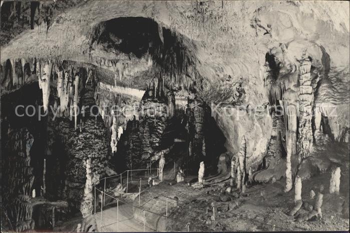 Hoehlen Caves Grottes Postojnska Jama Neue Grotte