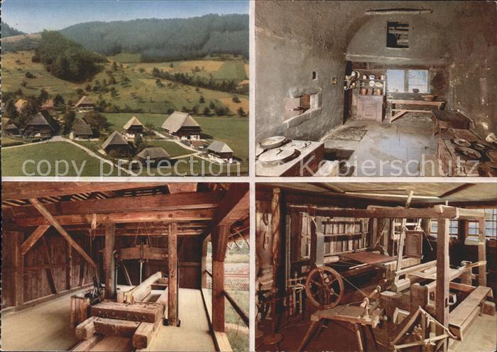 Gutachtal Schwarzwaldbahn Freilichtmuseum Vogtsbauernhof