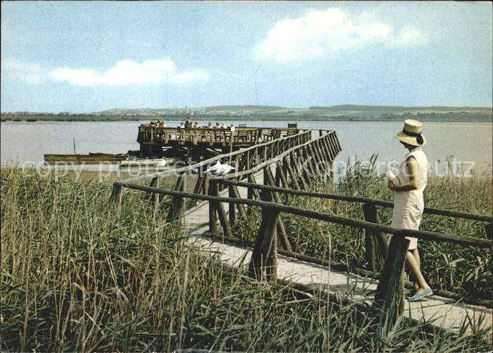 Bad Buchau Federsee Federseesteg