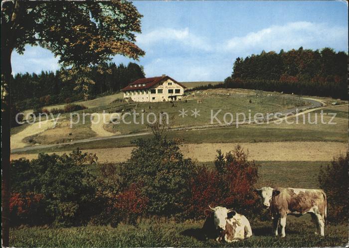 Waldmichelbach Sonnen Cafe Kreidacher Hoehe