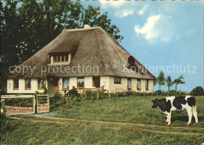 Vollerwiek Eschenhof Ferienwohnungen