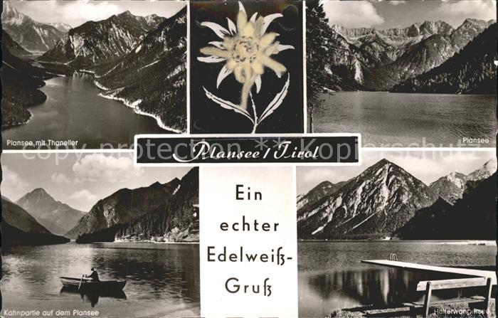 Plansee Thaneller Kahnpartie Edelweissblume