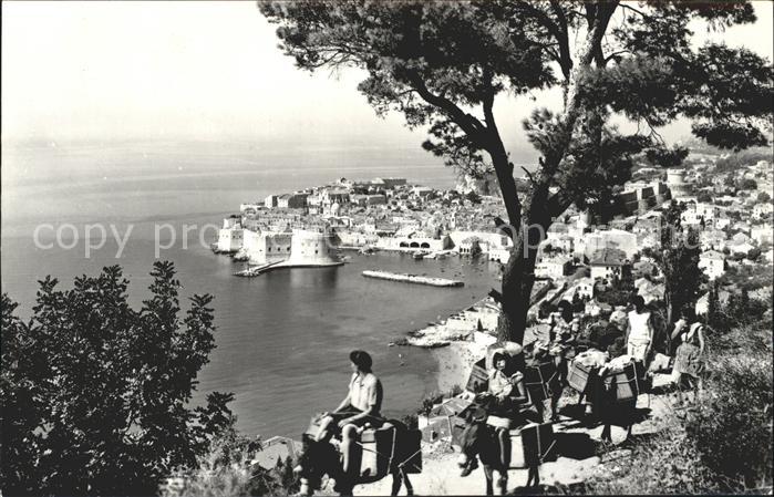 Dubrovnik Ragusa Eseltrecking