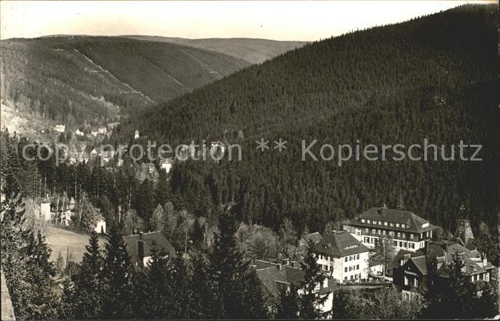 Baerenfels Erzgebirge Kipsdorf