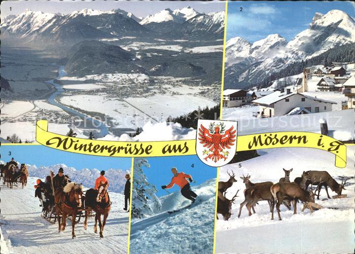 Moesern Schlittenfahrt