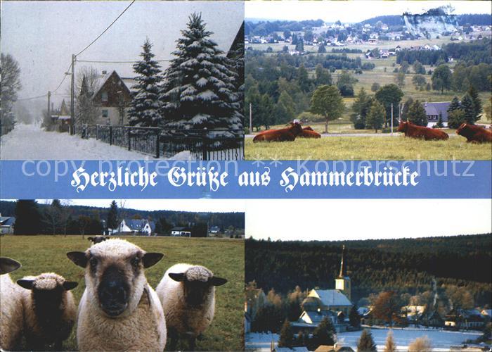 Hammerbruecke Kirche Wiesen