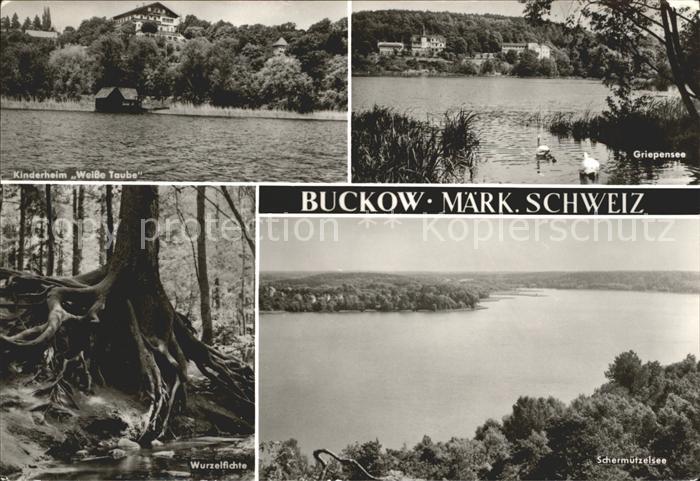 Buckow Maerkische Schweiz Kinderheim Weisse Taube Griepensee Wurzelfichte Scherm