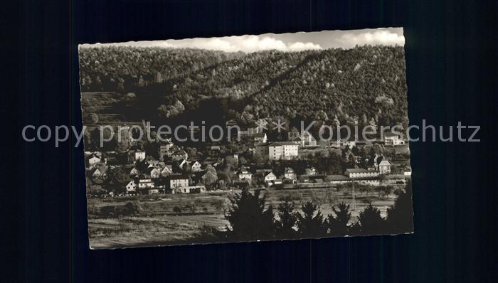 Bad Koenig Panorama Odenwald