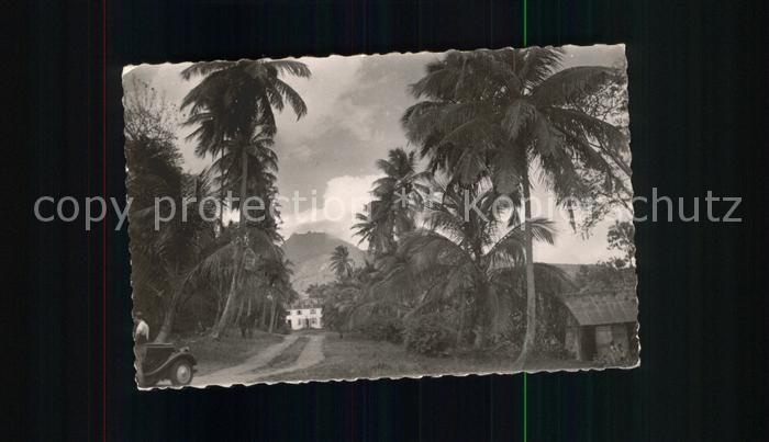 Saint Claude Guadeloupe Habitation au pied de la Soufriere Palmiers