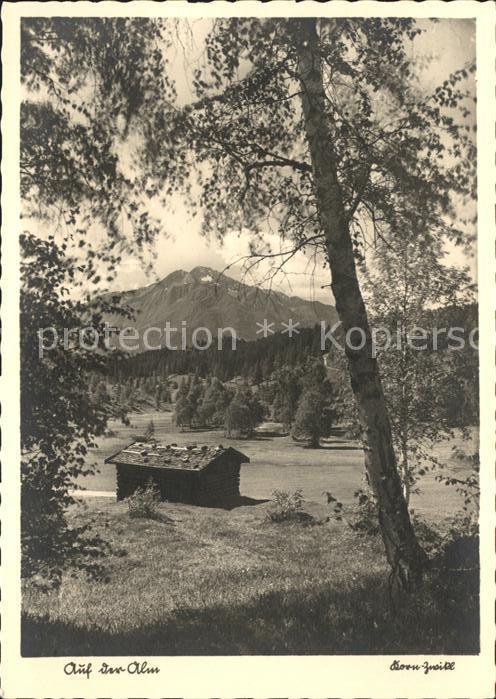 Iglau Jihlava Auf der Alm