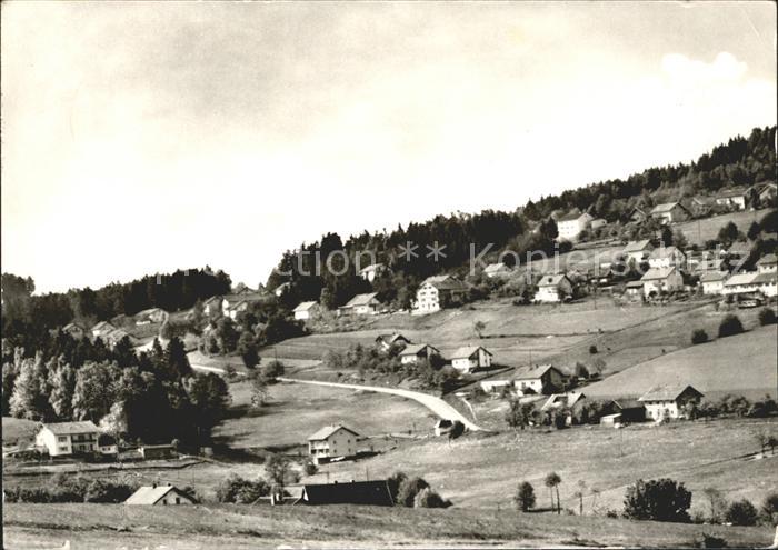 Rimbach Bayrischer Wald mit Hohenbogen