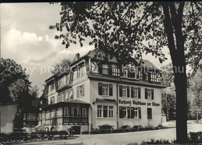 Bad Klosterlausnitz Kurhotel Waldhaus zur Koeppe