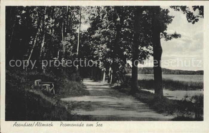 Arendsee Altmark Promenade am See