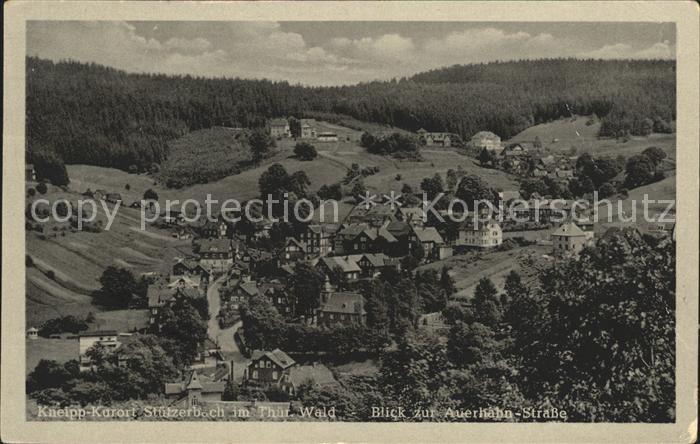 Stuetzerbach Totalansicht mit Auerhahn Strasse