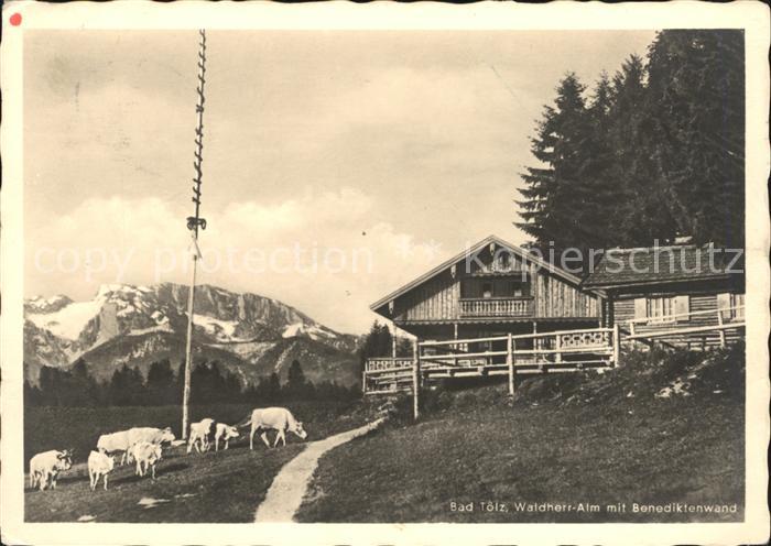 Bad Toelz Waldherr Alm mit Benediktinenwand