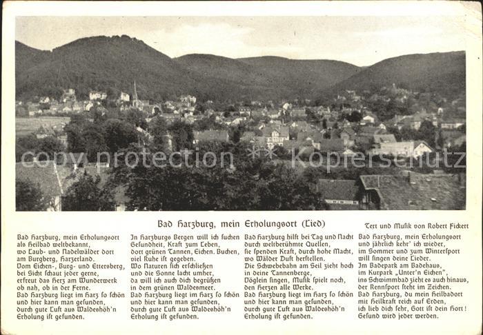 Bad Harzburg Panorama