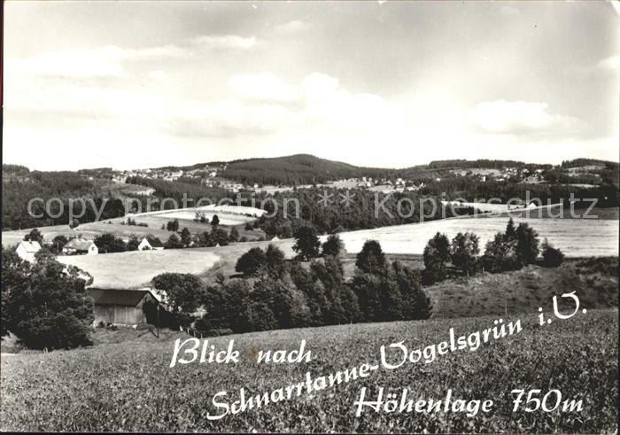 Vogelsgruen Blick von Auerbach Brunn