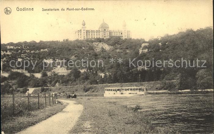 Godinne Sanatorium du Mont sur Godinne Bords de la Meuse Bateau