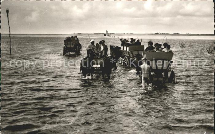 Duhnen Nordsee Wattwagen im Priel