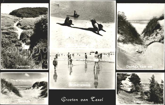 Texel Duinvallei Doorkijk naar zee Bosgezicht Strandvermaak Seehund