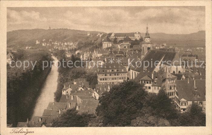TueBINGEN BW Stadtansicht von Osten