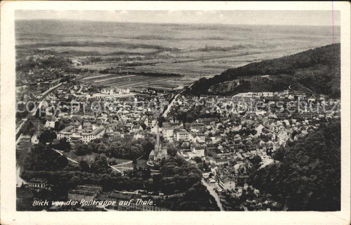 Thale Harz Panorama Blick von der Rosstrappe