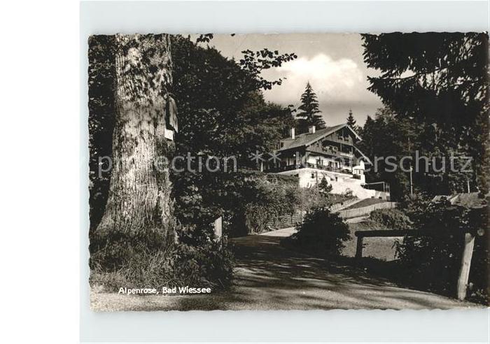 Bad Wiessee Hotel Restaurant Alpenrose