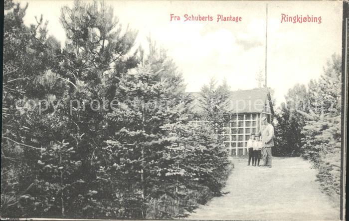 Ringkobing Fra Schuberts Plantage