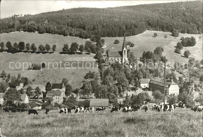 Rechenberg-Bienenmuehle Osterzgebirge Ortsansicht