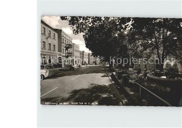 Schoenberg Freyung-Grafenau Brunnen Strassenansicht