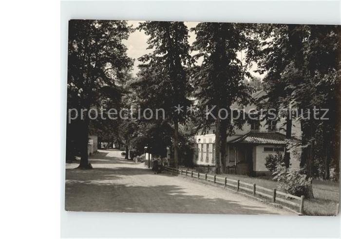 Neuglobsow Stechlinsee Strasse